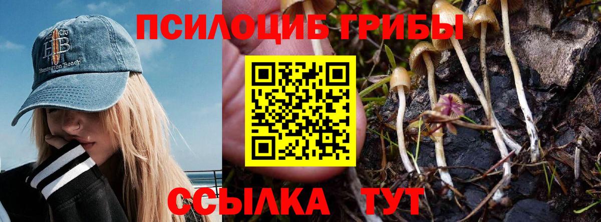 Саранск  Галлюциногенные грибы ЛСД  Вход с VPN 