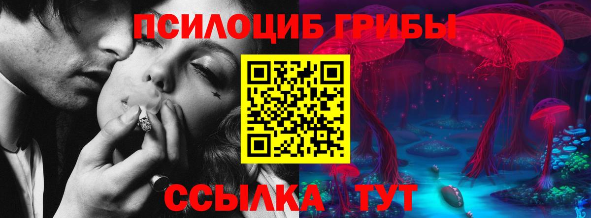 Галлюциногенные грибы мицелий Саранск